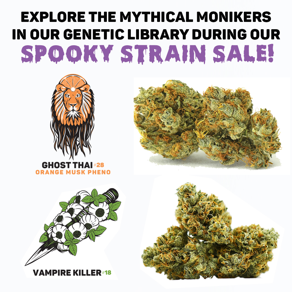 prime Sessions: Our Spookiest Strain Sale Yet